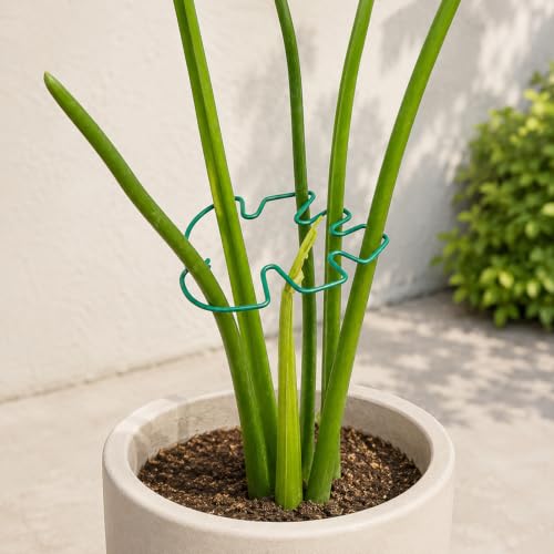 Yohsnor 5PCS Monstera Plant Stem Support-7.3 * 6.25IN Durable Stabilizers - color: Green, size: 7.3IN*6.25IN