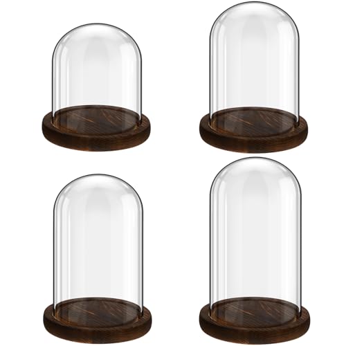 Suclain 4Pc Glass Dome Cloche with Wood Base, Brown, 4.3/5.1/5.9/6.7 x 3.8 - color: Brown, size: 4.3/5.1/5.9/6.7 x 3.8"