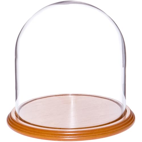 Plymor 8" x 8" Glass Display Dome Cloche (Oak Veneer Base) - color: Oak Veneer Base