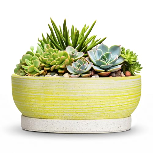 Pots for Succulents, 8 Inch Ceramic Bonsai Tree Pot, Brushed Yellow - color: Brushed Yellow, size: 8 Inch