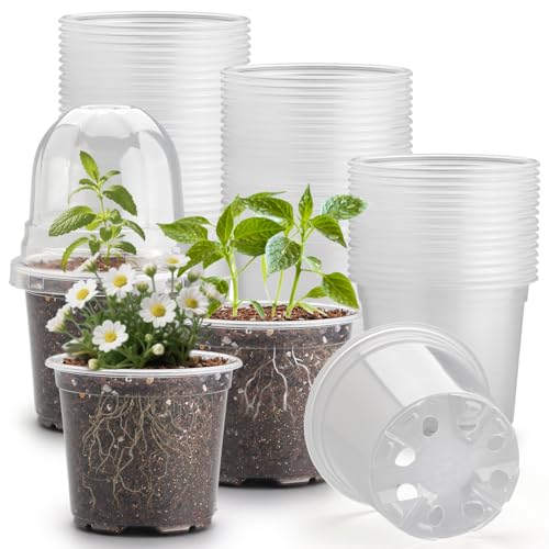 RooTrimmer 60 Pack Clear Nursery Pots with Humidity Domes, 4 Inch Plastic Plant Pots with Drainage Holes for Seedlings, Transparent Seed Starting Pot for Cuttings Propagation Indoor Gardening - color: 4 Inch Clear Pots With Domes-60p, size: 4Inch