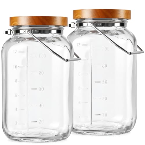 2 Pack Square Glass Storage Jars with Lid and Handle, 1 Gallon Glass Mason Jars with Airtight Lid, Wide Mouth Container with Measurement Scale, Large Capacity