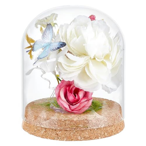 BENECREAT 5x4 Inch Glass Dome Cloche with Cork Base, Glass Dome Decorative Jars, Bell Glass Jars for Flower Valentine's Day Decoration, Inner Diameter: 3.8 Inch - size: 5x4 Inch