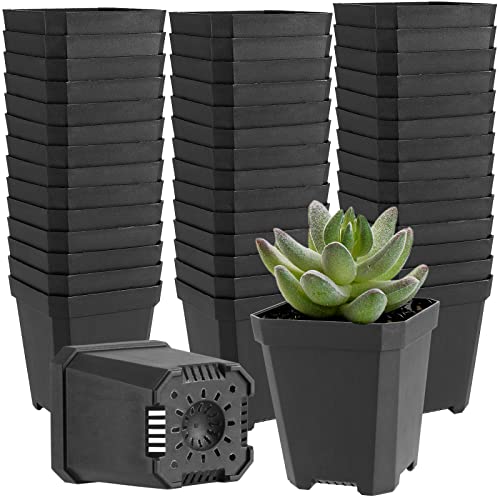JOIKIT 120 Pack 3 Inch Black Square Nursery Pots, Plastic Plant Seedling Pot with Drainage Hole Saucers, Small Nursery Transplant Starter Planter for Indoor Outdoor Garden Office Balcony - color: Black, size: 3 Inch 120 PCS