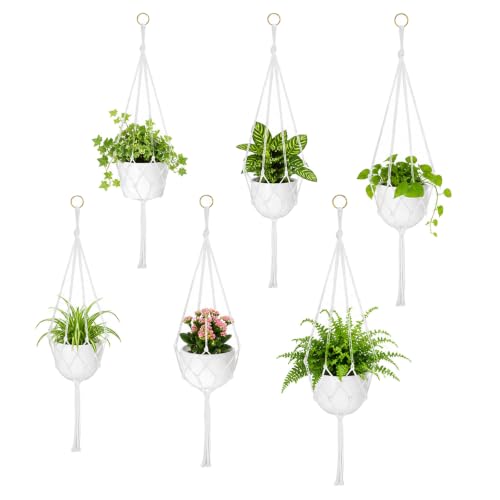 6PCS Macrame Plant Hanger 3 Sizes - 23.6/31.5/39 inch Hanging Plant Holder | Handmade Hanging Planter Basket Rope Holder Bohemian Hanging Planter for Home Bedroom Window Farmhouse Decor