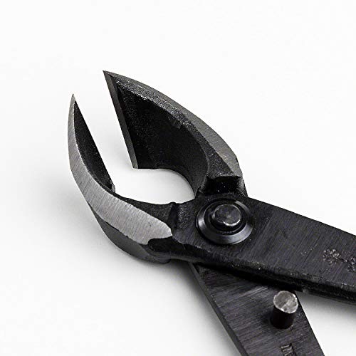 Wazakura Bonsai Tool Kit Made in Japan, Yasugi Steel Ashinaga Bonsai Scissors 8.2 inch (210mm) + Concave Branch Cutter 8 in (200mm) Starter Set (Yasugi Steel Ashinaga Scissors + Concave Branch Cutter)