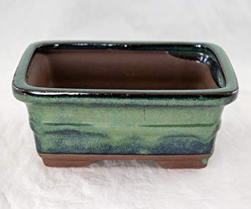 Rectangular Glazed Shohin Bonsai Pot, Cactus & Succulent Planter + Mesh 6"x 4.5"x 2.5" - Green Stain Glazed (765-6G)