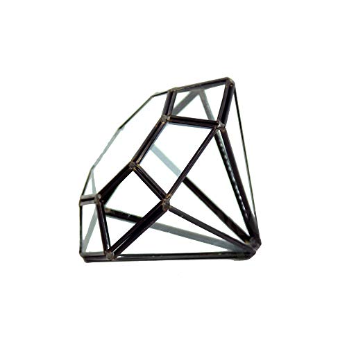 WGV Geometric Planter Terrarium, Width 5.3" Height 6" Clear Glass Black Frame DIY Succulent air Plant Miniature Fairy Garden Windowsill Tabletop Decor, Diamond 1 Piece - color: Black, size: Diamond 6"