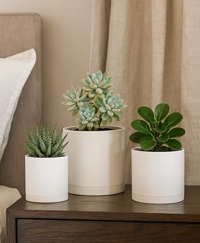 D'vine Dev 3-Pack Plastic Pots & Saucers, 4/5/6 in, Oatmeal, 74-V-H-1 - color: Oatmeal, size: Small