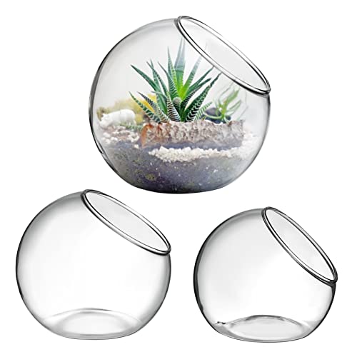 3Pcs Glass Terrarium Air Plant Planters Desktop Vases for Home and Office Elegant Plant Containers for Succulents and Air Plants