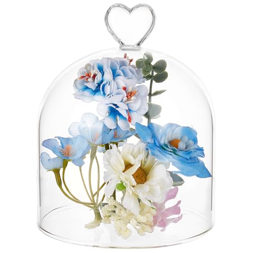 BENECREAT 4.7x5.7inch Glass Cloche, Dome Bell Jar Display Case for Plants, Figurines, Trinkets, LED Lights and Candles - size: 4.7x5.7inch