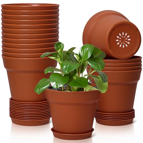 T4U Flower Pots for Indoor Plants 5 Inch with Saucer, Plastic Plant Pot - color: Terracotta, size: 5 In