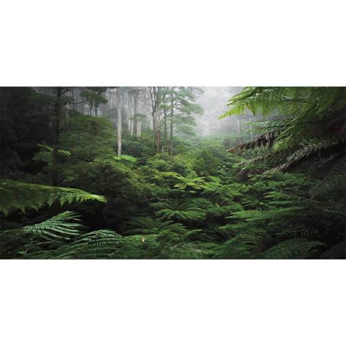 AWERT Foggy Forest Terrarium Background Green Tree Reptile Habitat Background Tropical Rainforest Aquarium Background 48x20 inches - size: 48x20in/120x50cm