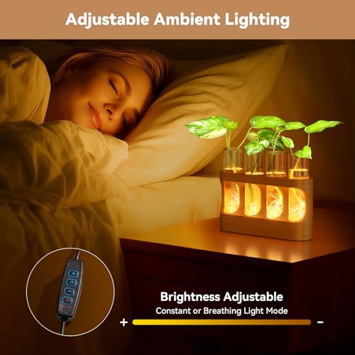 Plant Propagation Station with Wooden Stand, Gardening Gifts for Mom Women Plant Lovers, 9-Level Dimmable LED Light 4 Glass Test Tubes Vases for Hydroponic Plants - Desktop Terrarium for Desk Decor - size: With Light