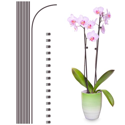 10Pcs Plant Support Stakes with 15Pcs Plant Clips, 16inch Plant Sticks - color: Brown-16inch