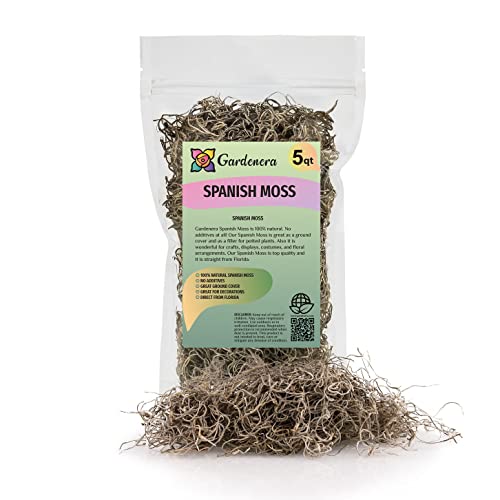 Gardenera Premium Natural Spanish Moss | Natural Preserved - Great Ground Cover - Filler for Potted Plants - 5 Quart Bag - color: SPANISH MOSS, size: 5 Quart