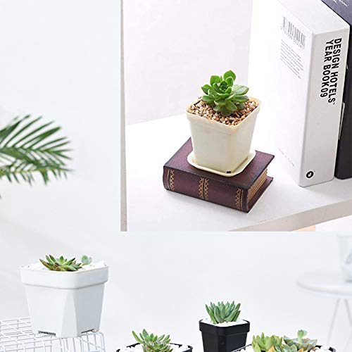 24 Pack 3 Inch White Square Plastic Plant Pots with Saucers,Nursery Seedling Pots with Drainage Hole,Small Planter Containers for Succulents,Flowers,Indoor Outdoor Garden,Home Office Balcony Decor - size: 24 Pack White