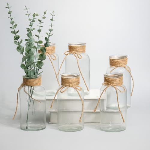 6 Pack Glass Mason Jar Vase Set, 6.5 Inch Vintage Vases for Centerpieces