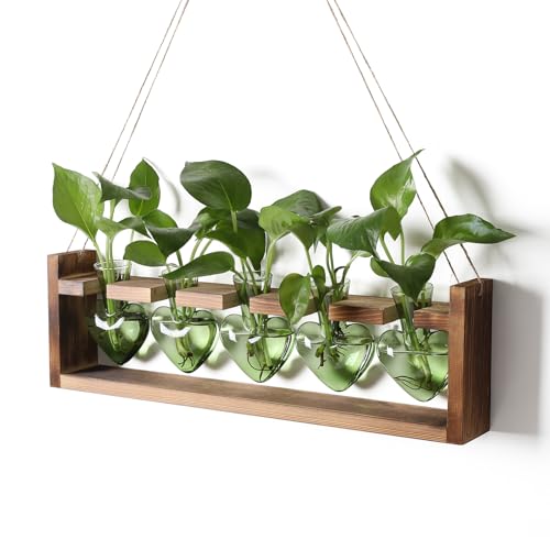 Plant Terrarium Hanging Propagation Stations Gift for Women - color: Green