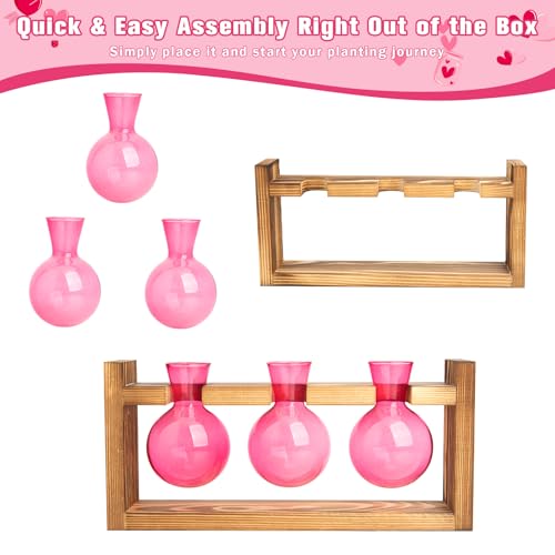 XXXFLOWER Wall Hanging Propagation Station with Wooden Stand Glass Test Tubes+3 Bulb Glass Propagation Station