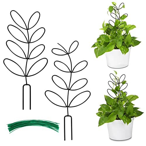 2 Packs Indoor Plant Trellis Garden Trellis for Climbing Plants | 12 Inch Metal Leaf Shape, Small Trelli for Potted Plants, Plant Support for Houseplant, with 50 Ties - color: Black