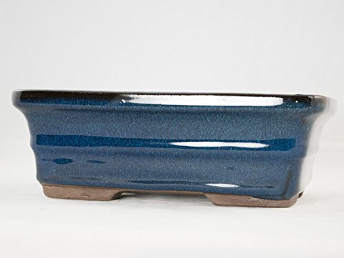 8" Rectangular Dark Blue Bonsai / Succulent Pot + Tray + Rock + Mesh Combo