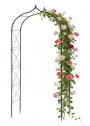 Metal Garden Arbors 8Ft Thickened Arch Trellis for Climbing Plants | Outdoor Arbor Rustproof Metal Frame Trellises Grapes Rose Yard Entrance Wedding Arched Backdrop Stand Party Event Decoration - color: Arch X Brace