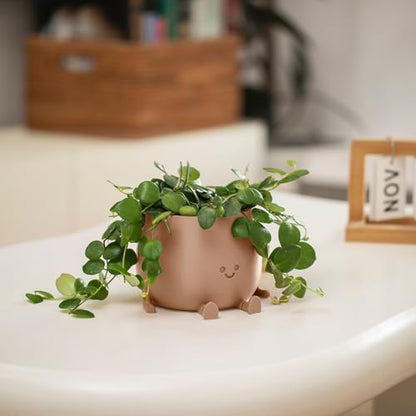 TOPOLA Happy Face Planter, 5.2 Inches Plastic Plant Pot, Self Watering Plant Pot with Drainage Holes for Indoor Outdoor, Succulent Pot, Funny Flower Pot, Khaki - color: Khaki