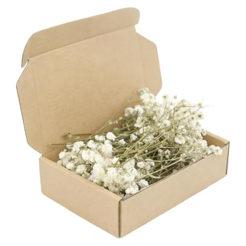 100Pcs Dried Pressed Baby's Breath Flowers - 100% Natural Flat Real White Gypsophila Mini Breath Flowers,Natural for Vase,Crafts,Resin Art Mini Mixed Floral Set for DIY, Wedding Card - color: Green Rod, White Flower
