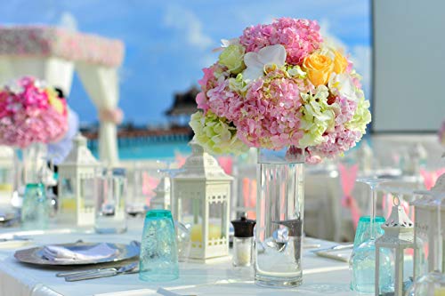 WGVI Quality Thick Weighted Tall Clear Cylinder Glass Vases, 4" W x 14" H, Flower Arrangement Floating Candle Holders Wedding Centerpieces Floral Bouquet Container Home Accent Decor, 1 Piece - size: 4"x14"H