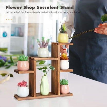 Small Desk Plant Stand 7 Tiers Window Sill Plant Shelf Tabletop Wood | Succulent Stand Desktop Flower Pot Stand Holder Plant Rack for Windowsill Desktop Window Ledge Countertop Narrow Space