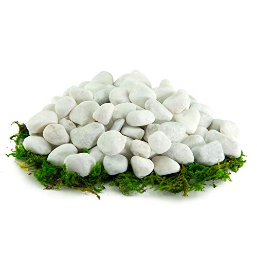 Southwest Boulder & Stone Porcelain White Pebbles | 20 lbs | Natural Rocks, White Stones for Potted Plants, Gardening, Succulents, Aquariums, Terrariums, and More (3/8 Inch - 5/8 Inch) - size: 3/8 Inch - 5/8 Inch