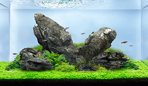 LANDEN Seiryu Stone 17lb Large Natural Aquarium Rocks for Fish Tank Decor - size: 06 Seiryu Stones(3-11inch,17lbs)