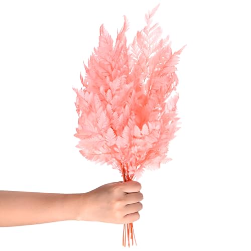 M METERXITY 10-Pack Fern, 15" Natural Dried Greenery with Stems for Wedding Garland Bouquet/Home Party/DIY Crafts Decors, Dried Plants [Pink] - color: Pink