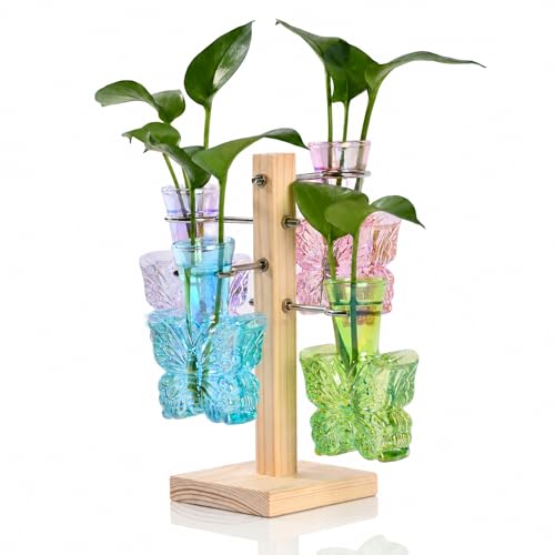 Nacome Plant Terrarium Propagation Stations: Colored Vase with Wooden Stand - color: Colored