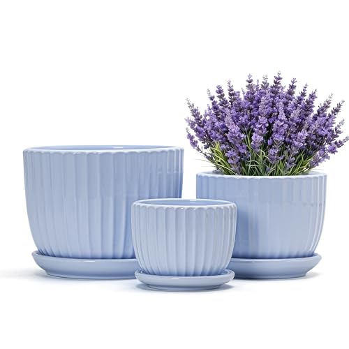 Flower Pots，Ceramic Pots with Drainage Holes & Saucers Set of 3(Sky Blue) | Indoor Plant Pots | Pretty Plant Pots Outdoor | Small Planting Pots for Aloe | Decorative Ceramic Pots for Plants - color: Blue