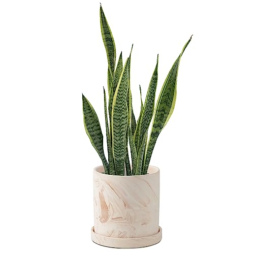 5 inch Plant Pot - Terra Cotta Flower Planters Indoor - Modern Succulents Containers with Drain Hole & Saucer, Decorate Home, Office & Outdoor (Pink) - size: 5 inch