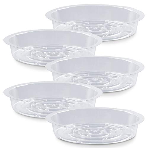 Rocutus Plant Saucer,20 Pack Plastic Plant Saucer Drip Trays Small Plant Plate Dish,Heavy Duty Clear Plastic Plant Saucers Flower Pot Tray Flower Pot Drip Pan for Indoor and Outdoor Plants (6 Inch) - size: 5.6 Inch