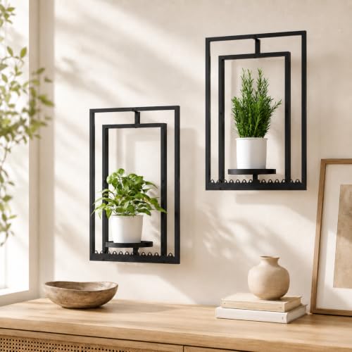Shineled Wall Plant Holder, Indoor Plants Holders, Plant Shelves Hanging Planters, Framed Plants Holder for Living Room, 2 Pack - color: Black Without Light