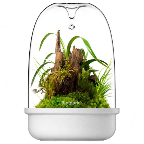 Bioloark Desktop Glass Plant Terrarium & Magnetic Plant Light Series, Moss Terrarium Containers with Ceramic Base, LED Terrarium Lights for Moss, Small Plant Displays (MQ-150 White(6.5" x 9.3")) - color: MQ-150 White (6.5" x 9.3")
