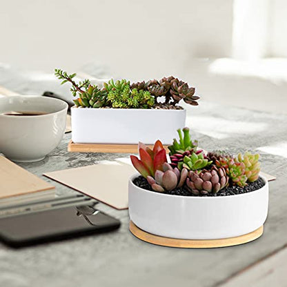 White Ceramic Succulent Plant Pots, 1 Rectangular Flower Pot + 1 Round Planter, Set of 2 Small Cactus Container, Bonsai Pots, Succulent Pots with Drainage Hole& Bamboo Tray (No Plant) - color: Rectangular+round