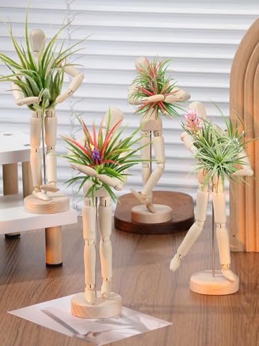 ANPHSIN 4 Pcs 8.6'' Wooden Air Plant Holder, Adjustable Poses