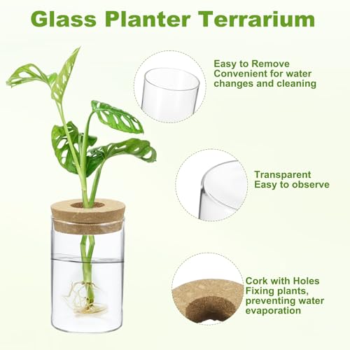 M METERXITY 1 Pack Glass Planter Terrarium with Wooden Cover, Desktop Plant Propagation Station Clear Vase for Hydroponic Plants Propagation/Home Garden Decor/Plant Lover [2.56'' x 3.94''] - size: 2.56'' x 3.94''