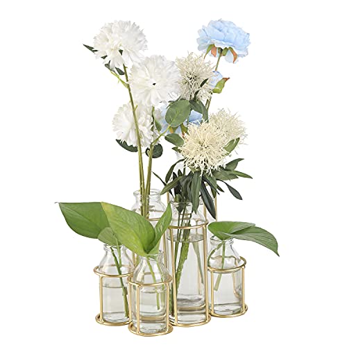 Flower Vases with 6 Bottle Crystal Clear Glass Flower Vase with Metal Stand Propagation Station Plant Display Holder Set for Home or Wedding Décor