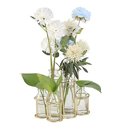 Flower Vases with 6 Bottle Crystal Clear Glass Flower Vase with Metal Stand Propagation Station Plant Display Holder Set for Home or Wedding Décor