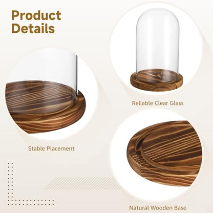 2 PCS Glass Cloche Display Dome with Wooden Base, 7.5/10 Inch Glass Display Cloche Dome, Clear Glass Dome Showcase for Flowers, Art Pieces, Collectibles, Keepsakes, Home Office Decor (2PCS)
