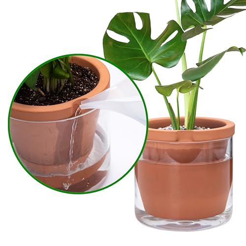 D'vine Dev Self Watering Terracotta Planter Pot, 8 in, 37-X-C-1 | Terracotta & Glass Design, Clear Water Reservoir, Visible Water Level, Easy Plant Care, Ideal for Busy Plant Lovers - color: Terracotta, size: 8 Inch