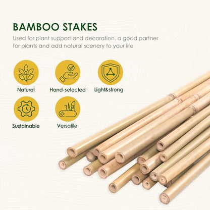 Cambaverd Bamboo Stakes 3ft, 50 Pack Garden Stakes, Bamboo Sticks for Plant | Natural Plant Stakes for Tomatoes, Potted and Climbing Plant Support, Sturdy Bamboo Garden Stakes 3 Feet - size: 36 Inch