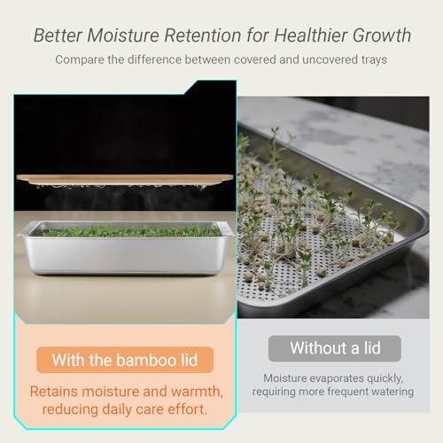 Microgreens Growing Kit – Stackable Stainless Steel Sprouting Tray with Wood Lid, Sprouts Growing Kit for Indoor Gardening in Small Spaces, Kitchen, or Windowsill – No Seeds Included