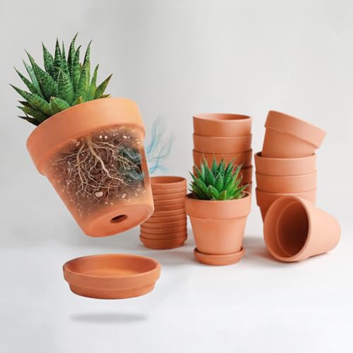 HERDUK Terracotta Starter Pots with Saucers – 4 Inch Clay Planting System for Healthy Roots, Reliable Drainage & Indoor Growing, Ideal for Succulents, Seedlings & Small Spaces - size: 4 inch